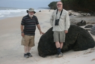 Figure-10-2297-massive-log-Pongara-NP
