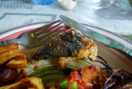 Figure-4-684-python-meal-2