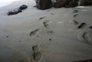 Figure-7-2059-bubbly-sand