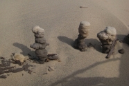 fig8