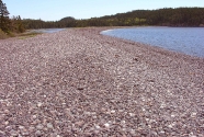 Jasper Beach (Figure 2)