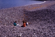 Jasper Beach (Figure 8)