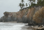 fig7