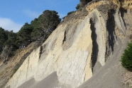 Photo-6
