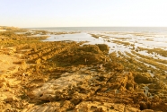 saf-eroded-coast.jpg