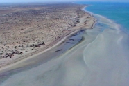 Zones of high rates of beach accretion on exposed outer sand beaches. 