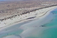 Zones of high rates of beach accretion on exposed outer sand beaches. 