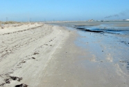 Ground views of two moderately exposed sand beaches.