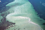 Highly exposed sandy tidal flats