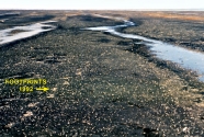 Low-amplitude intertidal sand bars on the moderately exposed sand flat at Mt. Mitchell 