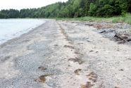 Figure-12-Northside-Beach-Eastport