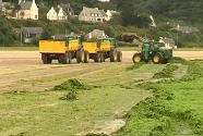 Saint-Michel-en-Greve, Brittany, France