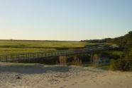 A backbarrier shorescape of southern Cumberland Island at low tide.  