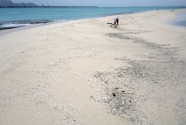 Motu One, Tubuai, French Polynesia