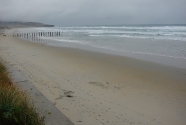 St Clair Beach.