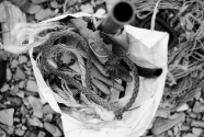 South West Marine Debris Cleanup