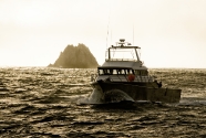 South West Marine Debris Cleanup