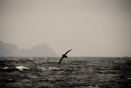 South West Marine Debris Cleanup