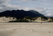 South West Marine Debris Cleanup