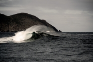 South West Marine Debris Cleanup