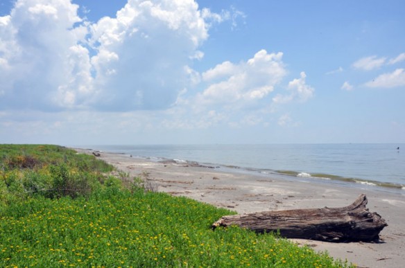 Isle Grand Terre, Louisiana