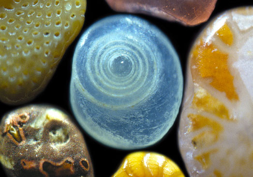 Sand Microscopic Sand Microscopic