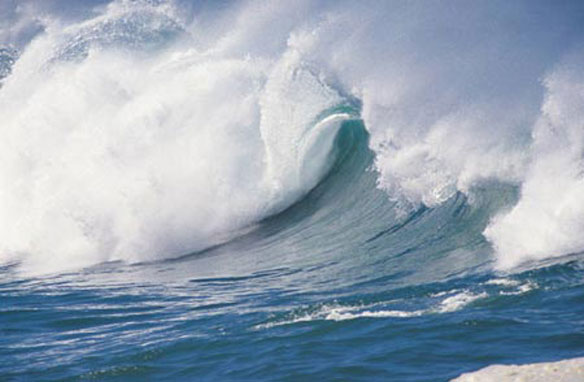 tsunami tsunami