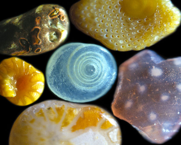 grains of sand