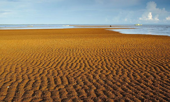 Sei Jawi Beach Indonesia Sei Jawi Beach Indonesia