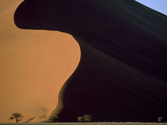 Sand Dune Sand Dune