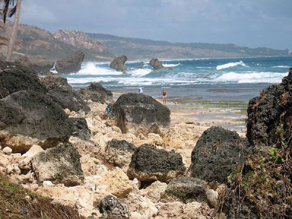 barbados-bathsheba