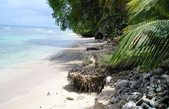 mullins-beach-barbados