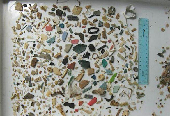 Plastic Pollution