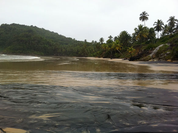 itacare-atlantic-forest-brazil