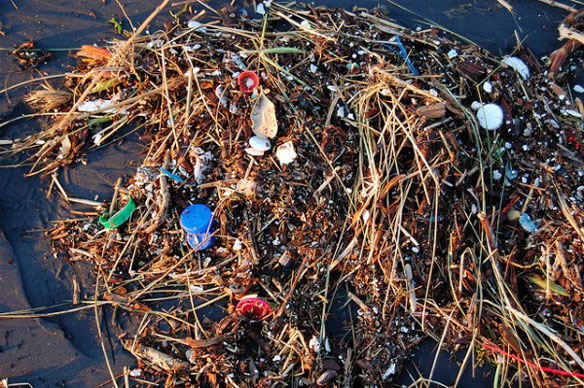 plastic pollution beach