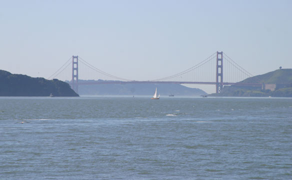 san - francisco bay san - francisco bay