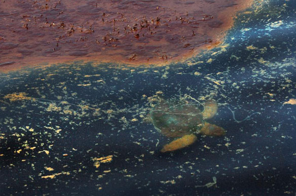 oil-pollution-gulf-noaa oil-pollution-gulf-noaa