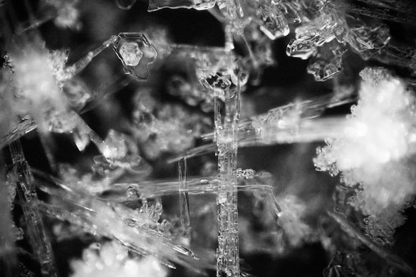 snow-crystal-close-up snow-crystal-close-up