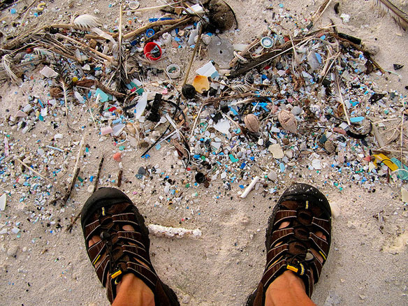 plastic-pollution-midway