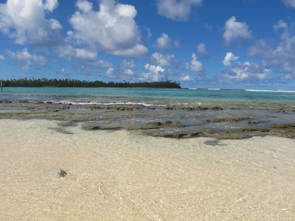 tahiti-coral