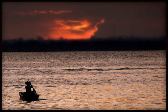 amazonia