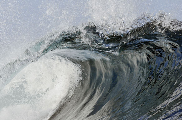 wave wave