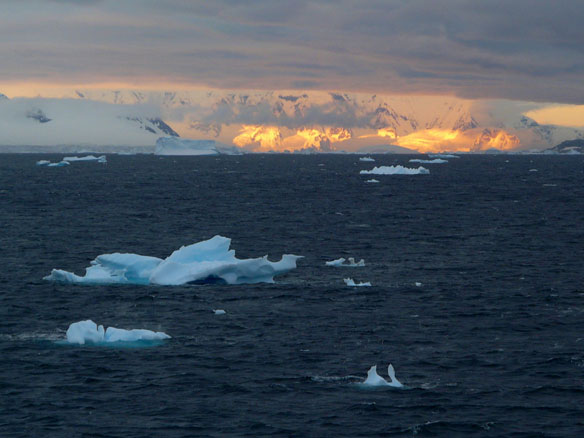 antarctique antarctique