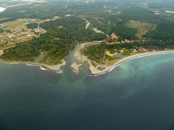 elwha-dam-removal-estuary