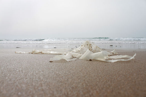 plastic-pollution-coastal-care
