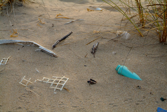beach-plastic-pollution