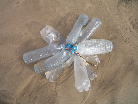 plastic-pollution-plastic-bottles plastic-pollution-plastic-bottles