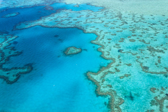 great-barrier-reef