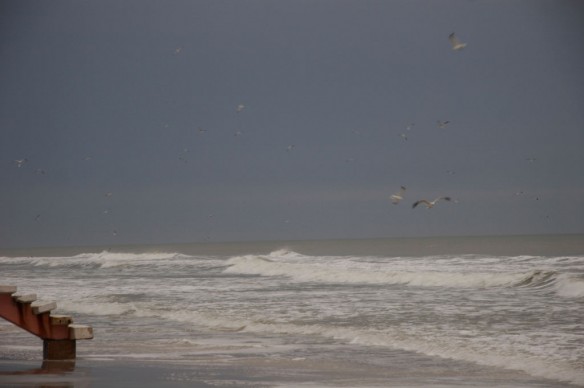 coastal-erosion-florida-daytona