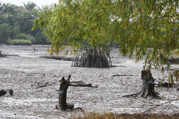 goi-nigeria-oil-pollution-shell